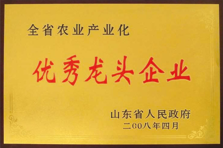 08优秀龙头企业