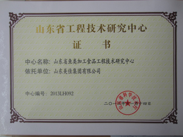 山东省技术工程研究中心